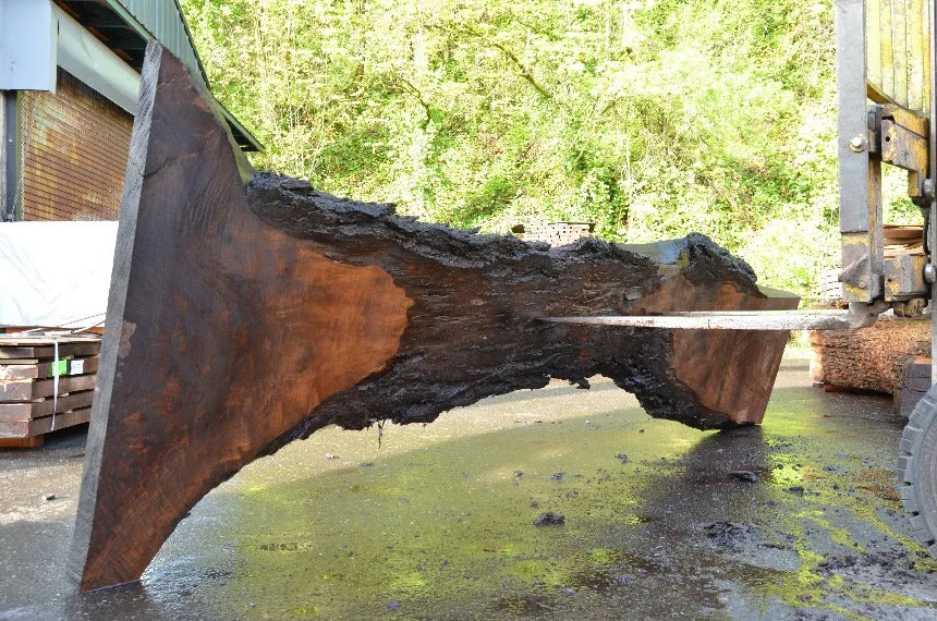 Oregon Black Walnut Slab 042822-05