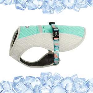 Reflective Cooling Vest